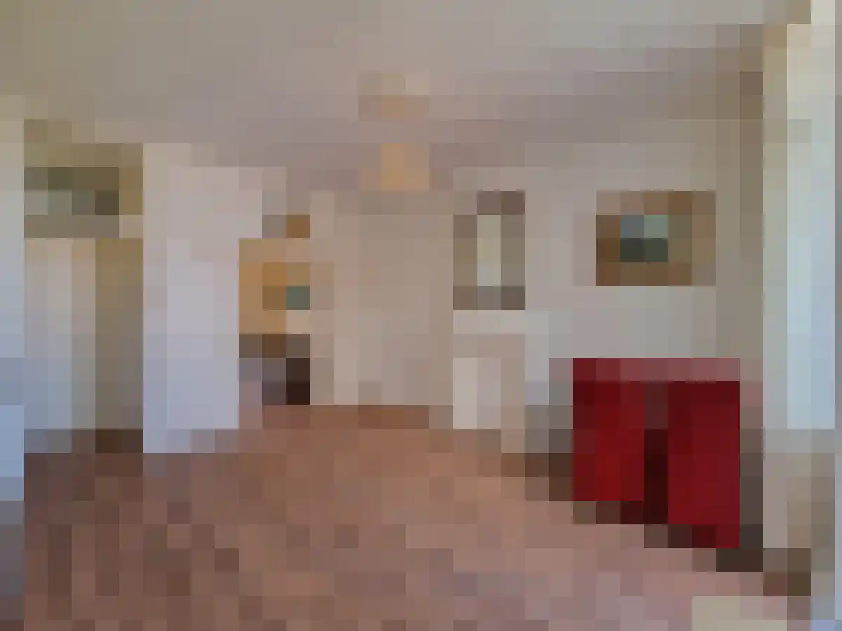 Abdijlaan 34 Uden thumbnail 4