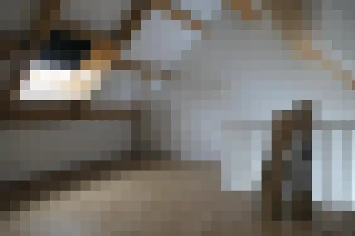 Abdijlaan 34 Uden thumbnail 6