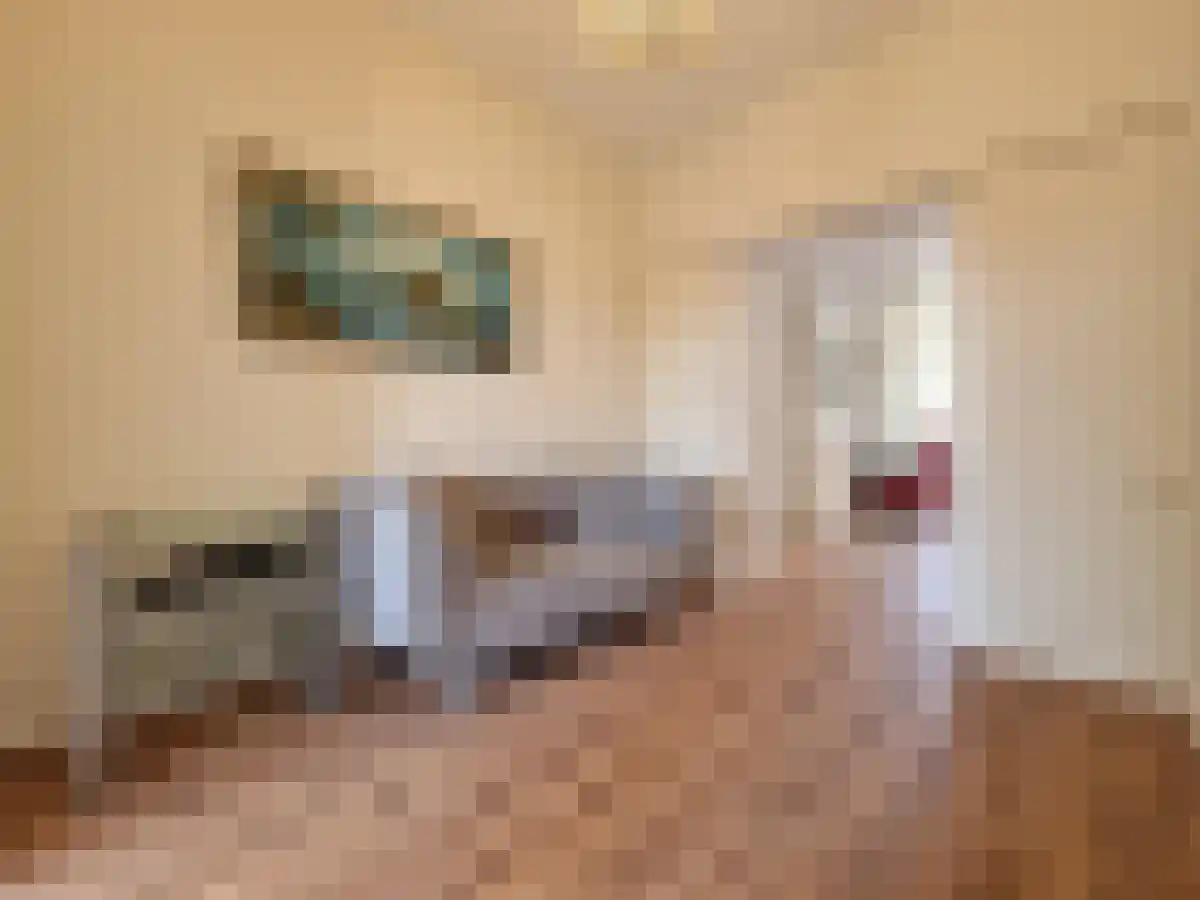 Abdijlaan 34 Uden thumbnail 6