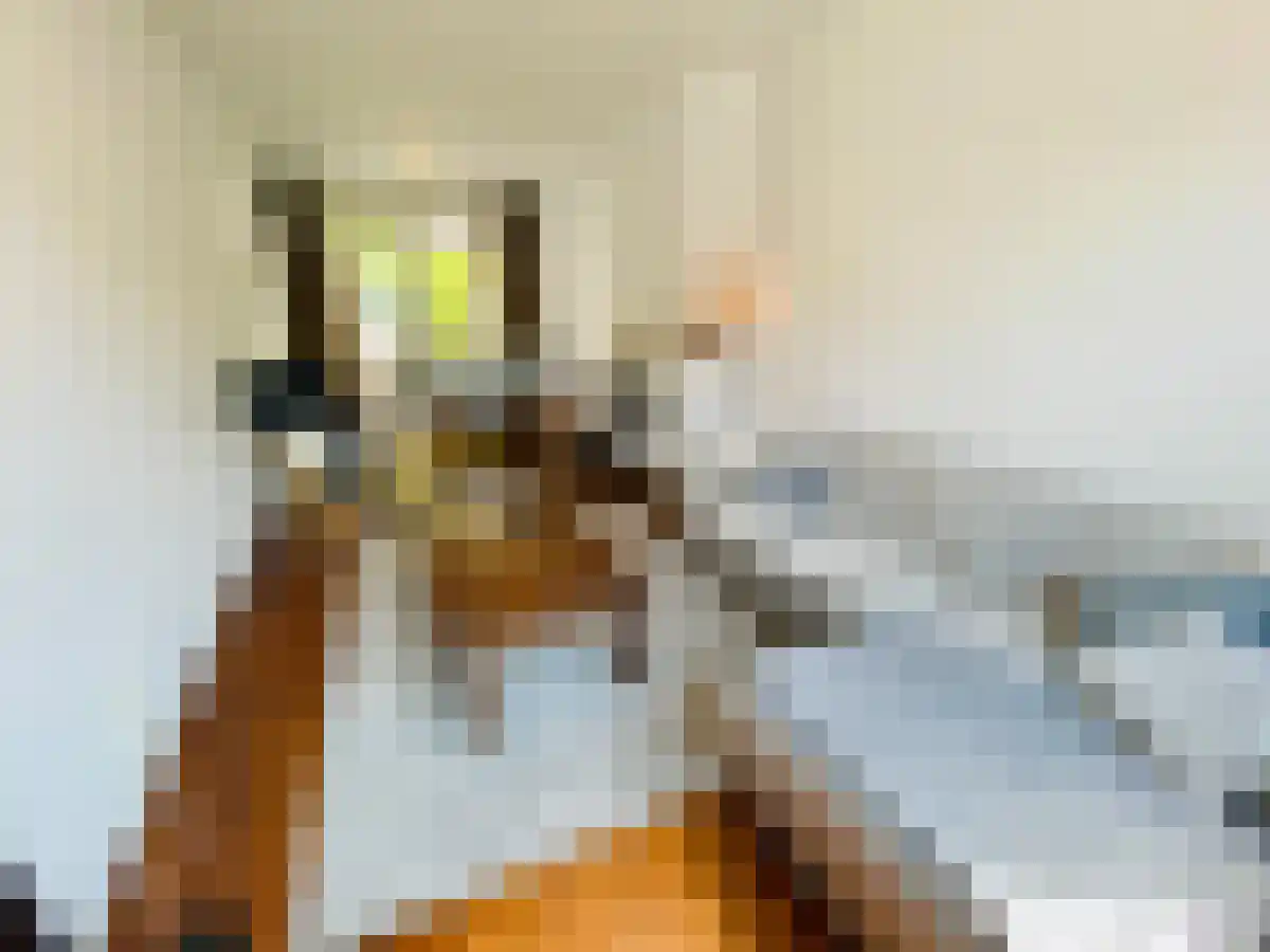Abdijlaan 35 Uden foto 2