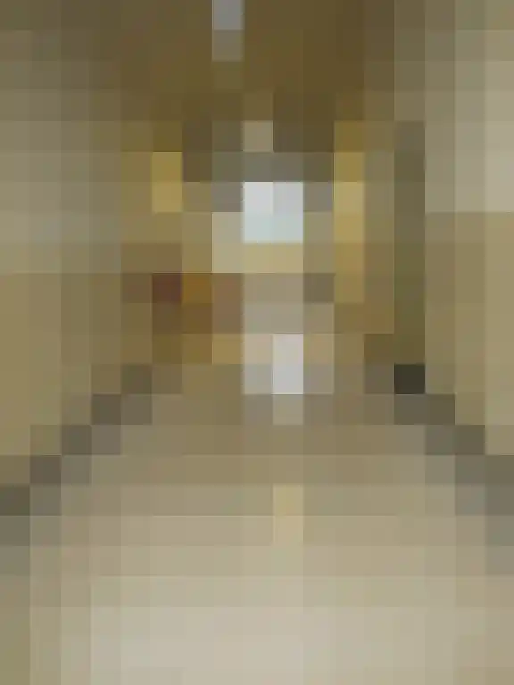 Abdijlaan 35 Uden thumbnail 4