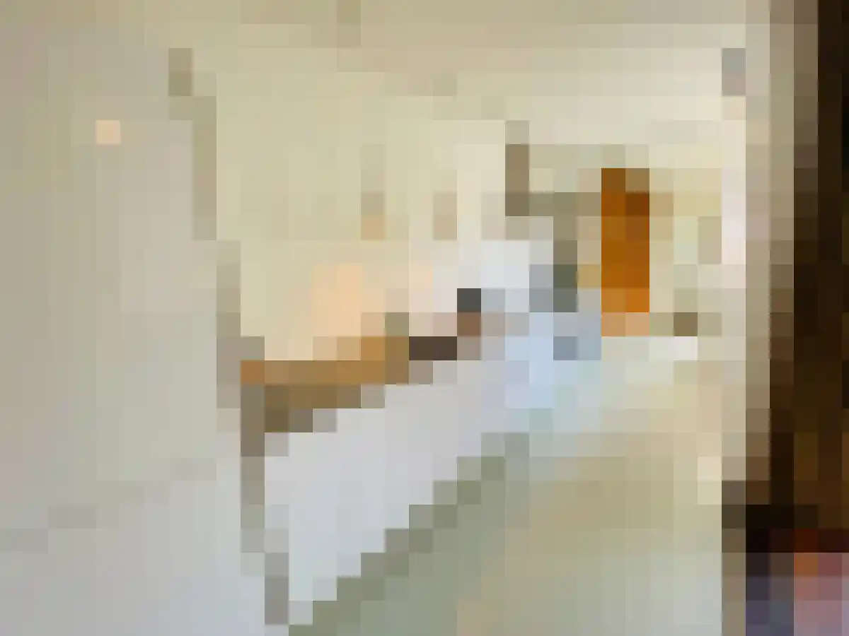 Abdijlaan 35 Uden thumbnail 4