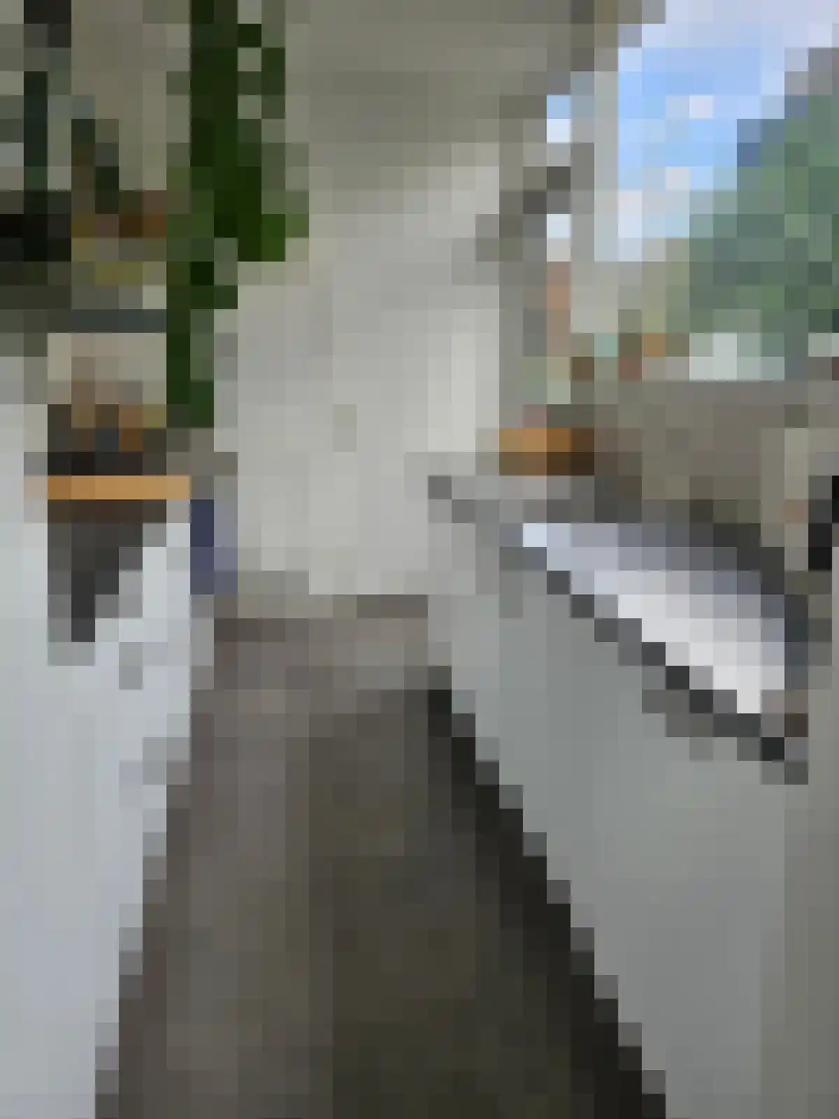 Abdijlaan 35 Uden thumbnail 4