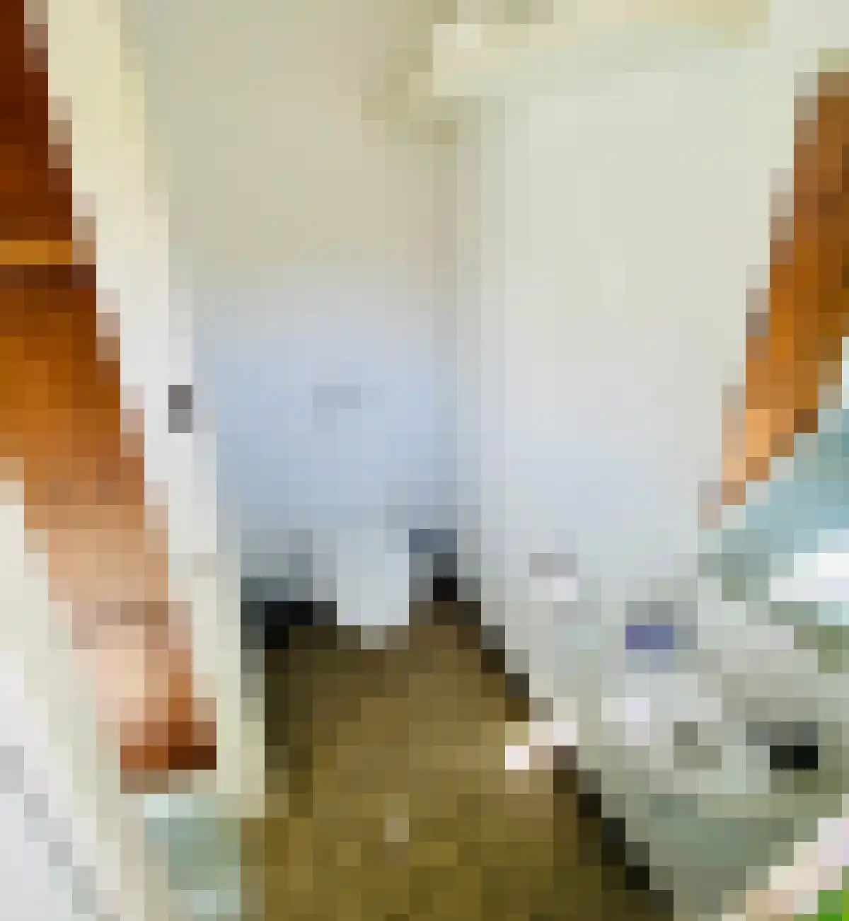 Abdijlaan 35 Uden thumbnail 5