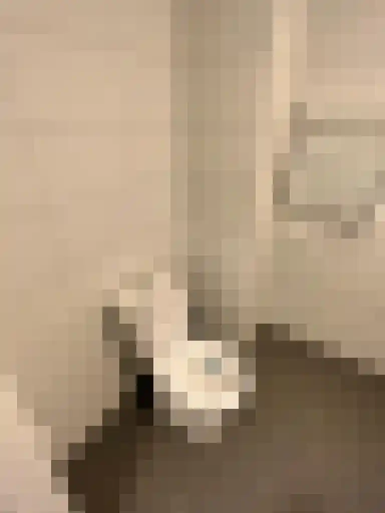 Abdijlaan 35 Uden thumbnail 5