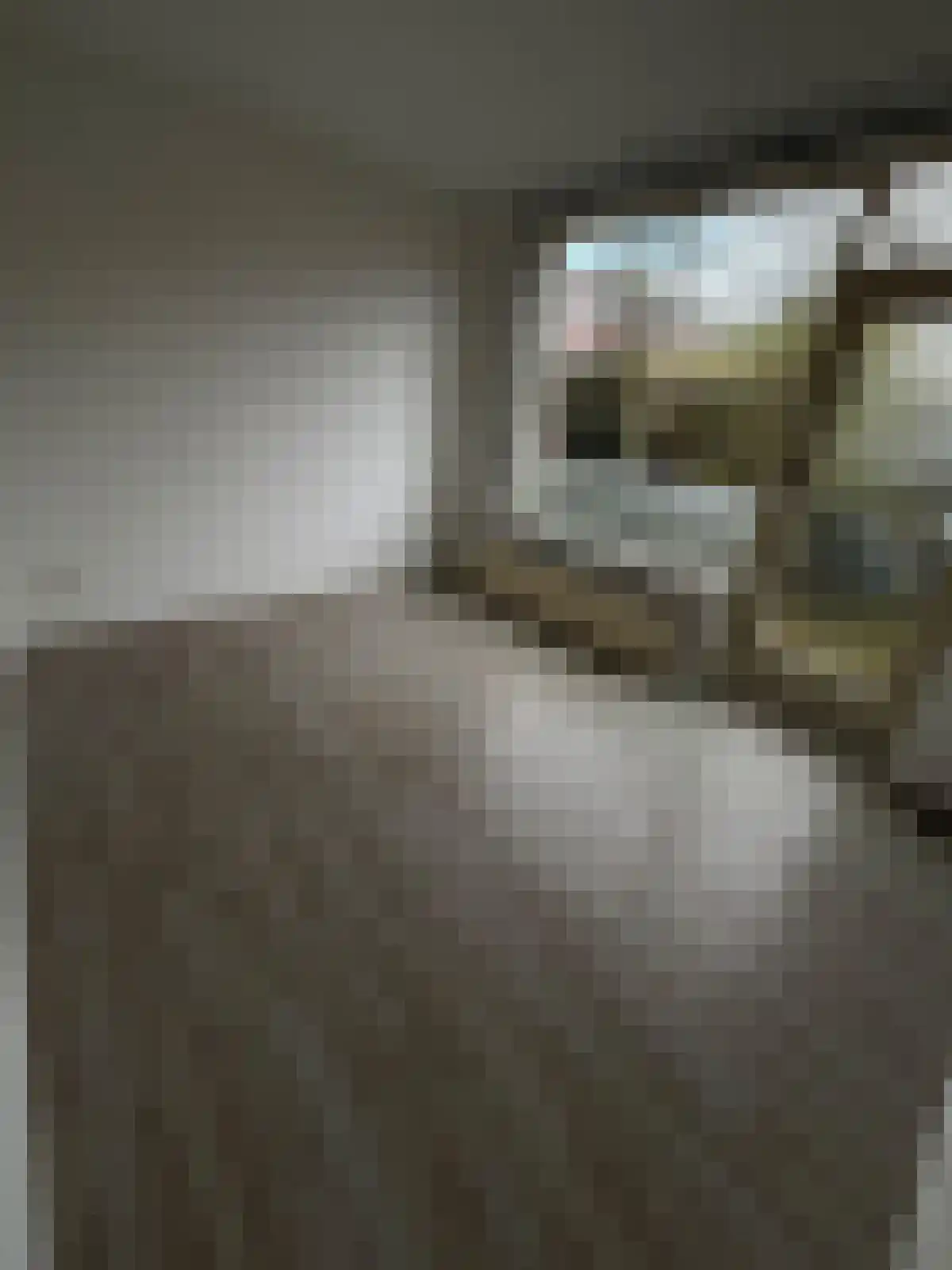 Abdijlaan 35 Uden thumbnail 5
