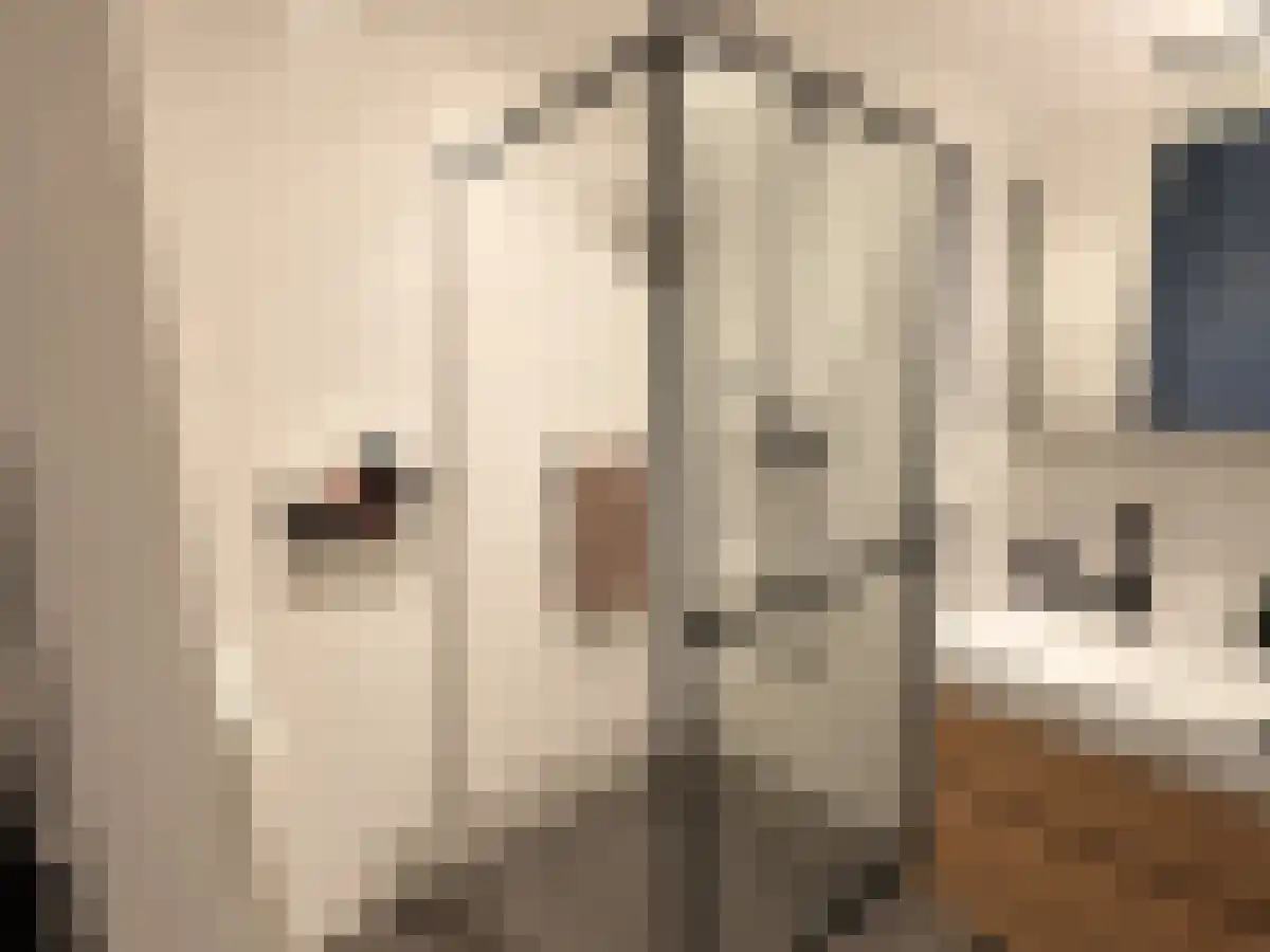 Abdijlaan 355 Uden thumbnail 4