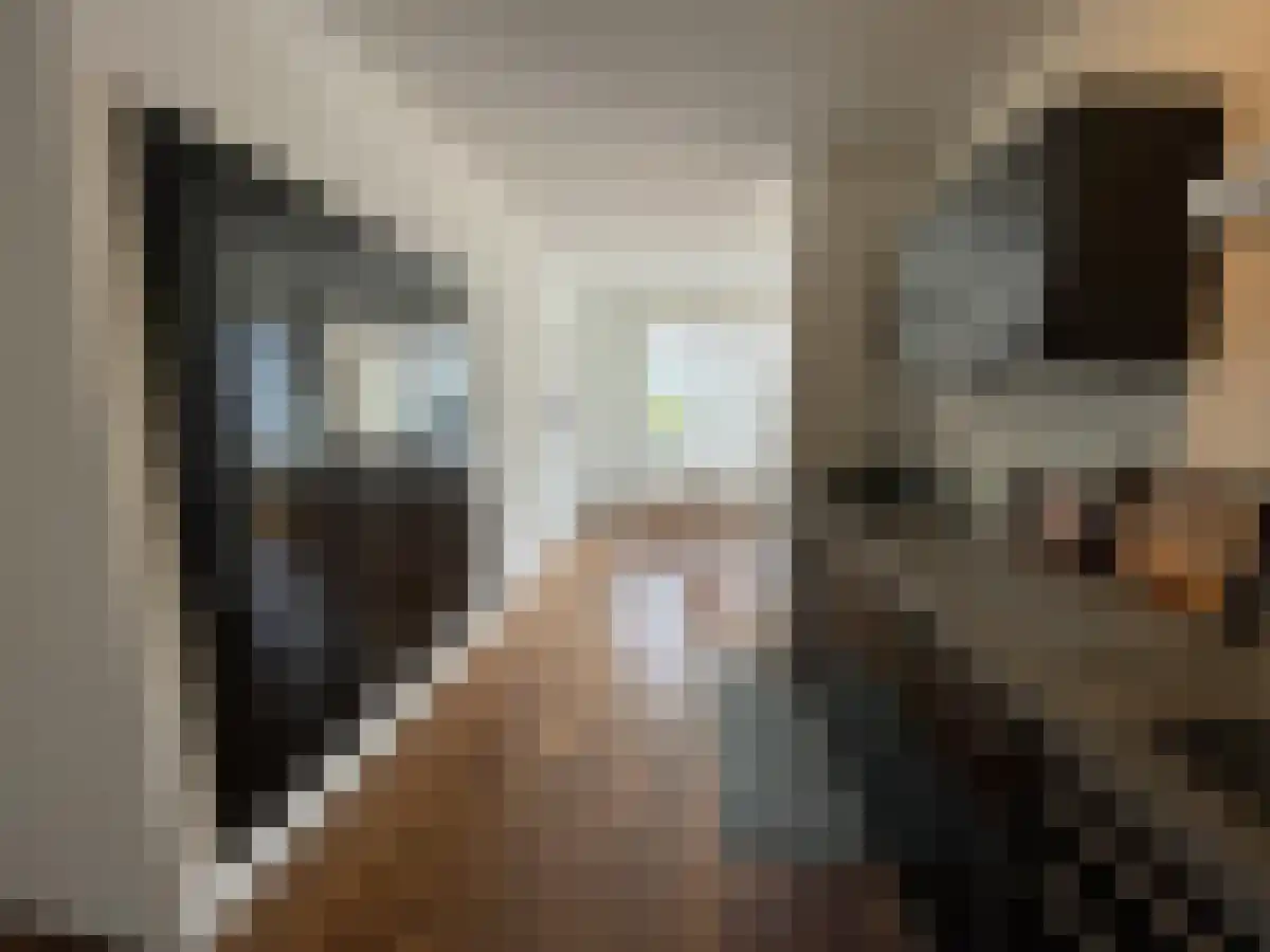 Abdijlaan 355 Uden thumbnail 5