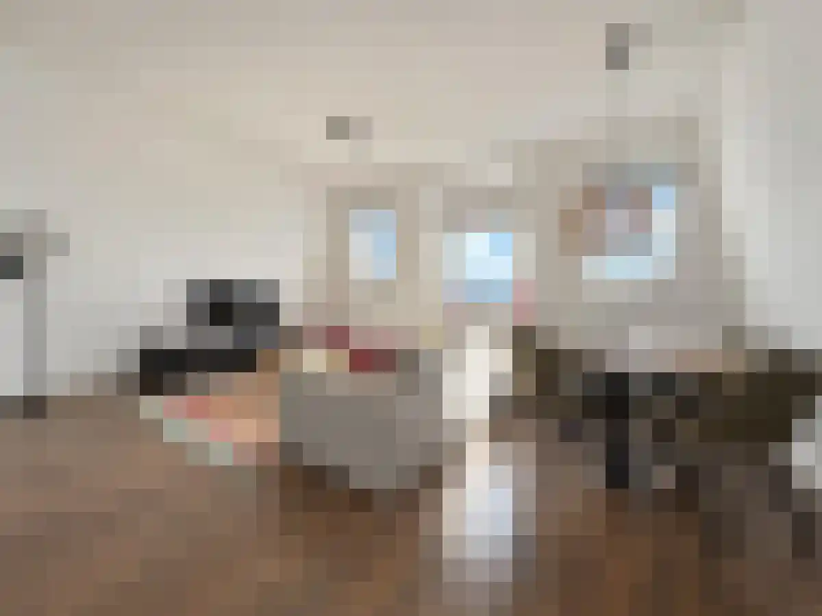 Abdijlaan 36 Uden foto 2