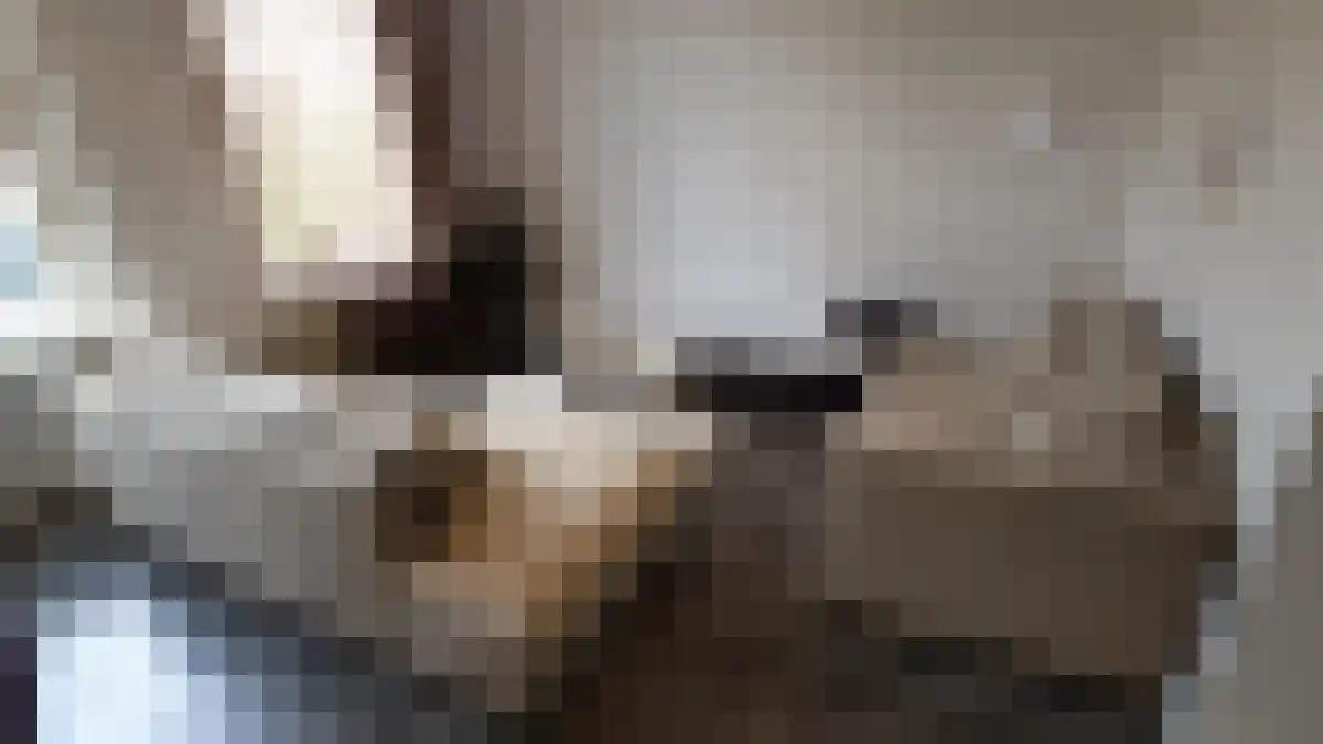 Abdijlaan 36 Uden thumbnail 5