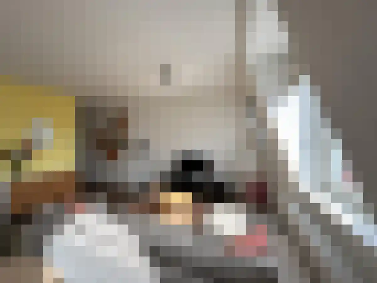 Abdijlaan 36 Uden thumbnail 5