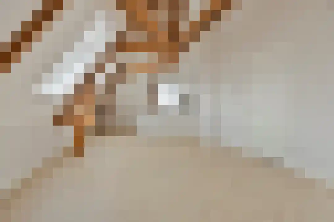 Abdijlaan 362 Uden foto 2