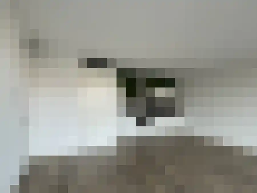 Abdijlaan 367 Uden thumbnail 6