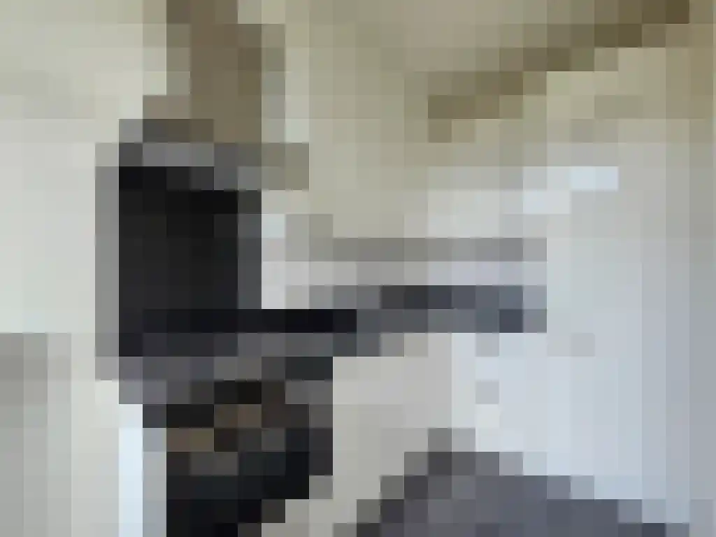 Abdijlaan 37 Uden thumbnail 6
