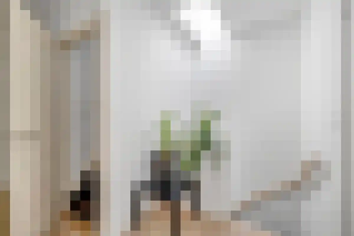 Abdijlaan 38 Uden thumbnail 6