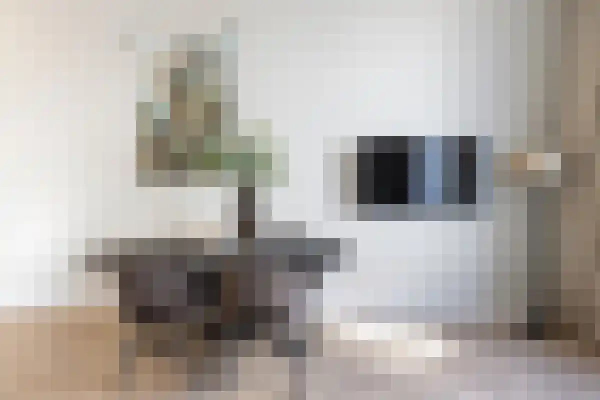 Abdijlaan 38 Uden thumbnail 6