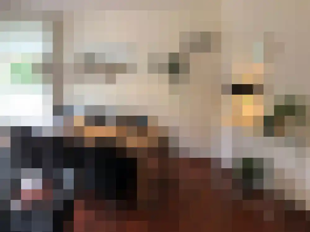 Abdijlaan 381 Uden thumbnail 5