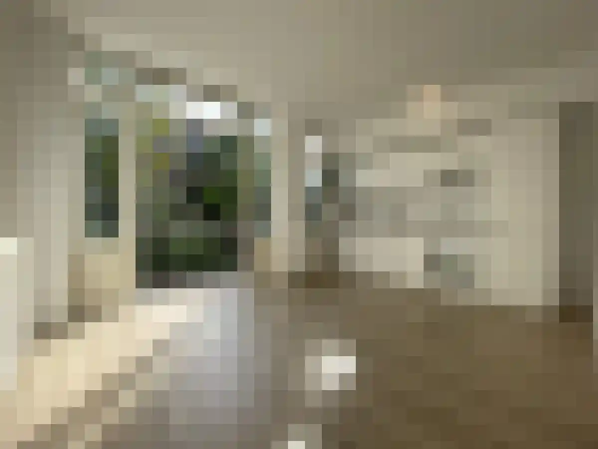 Abdijlaan 387 Uden thumbnail 4