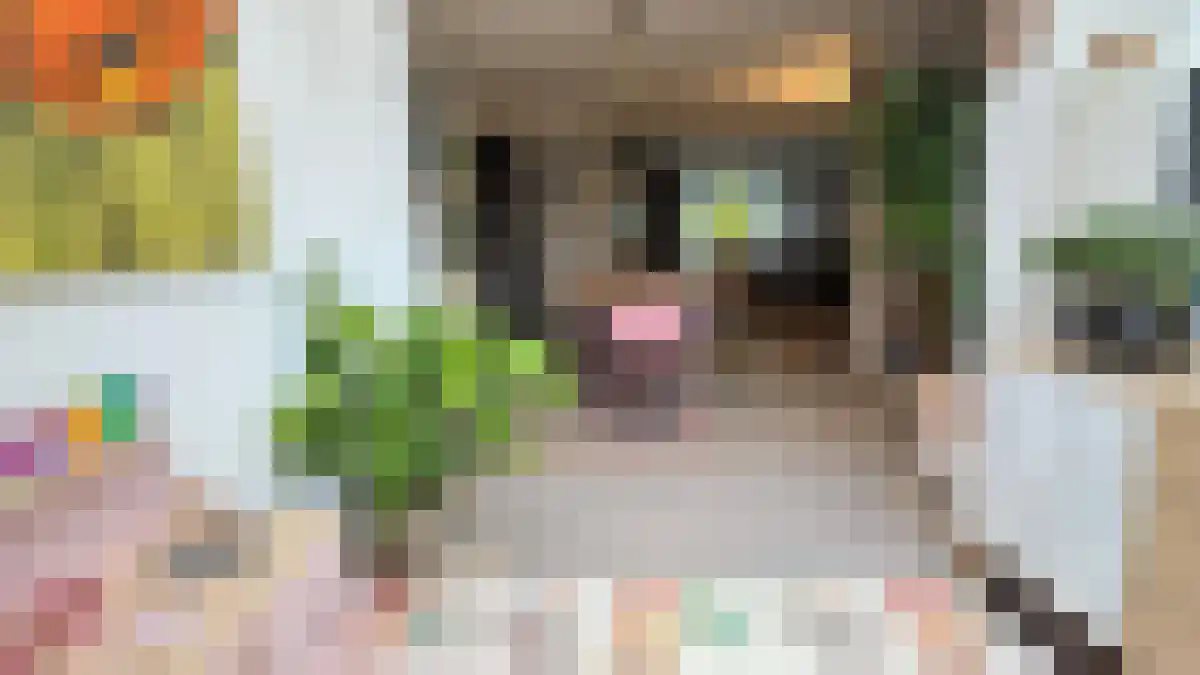 Abdijlaan 39 Uden thumbnail 6