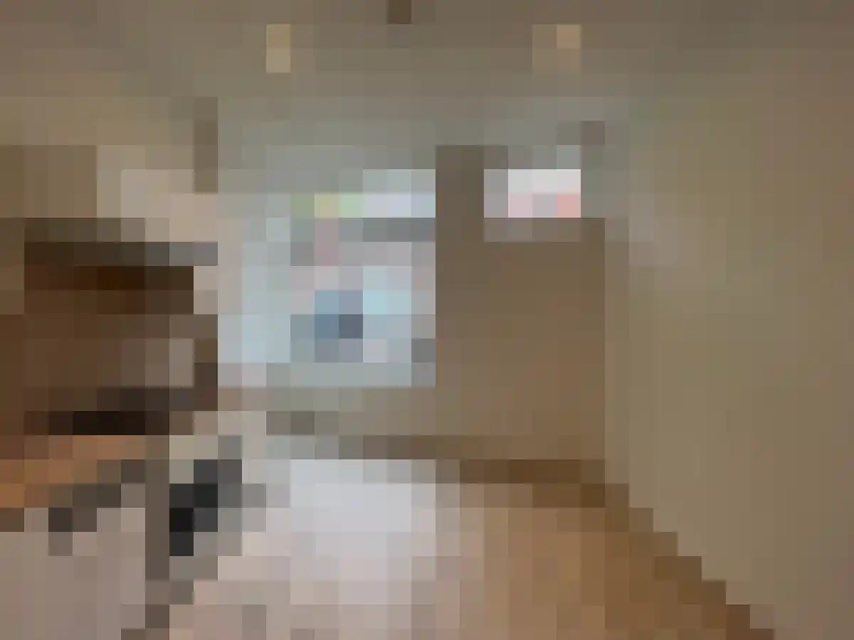 Abdijlaan 4 Uden