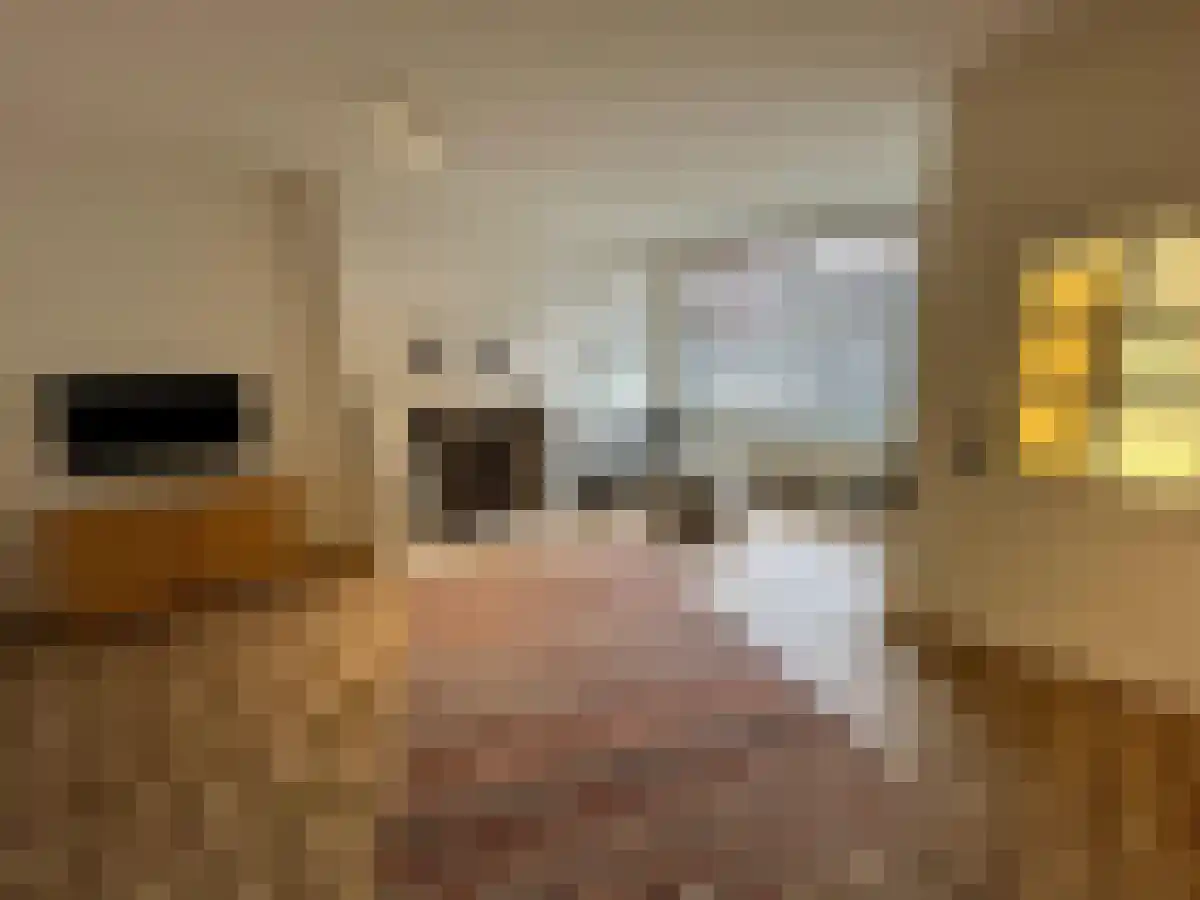 Abdijlaan 4 Uden foto 2