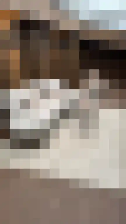 Abdijlaan 4 Uden thumbnail 4