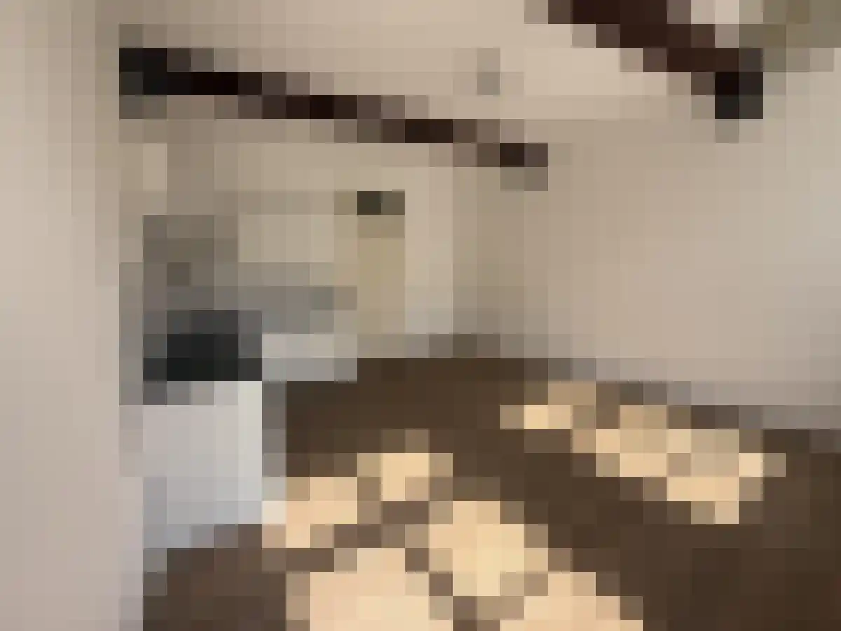 Abdijlaan 4 Uden thumbnail 4