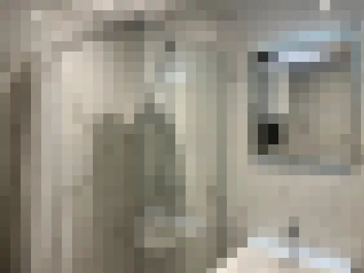 Abdijlaan 4 Uden thumbnail 5