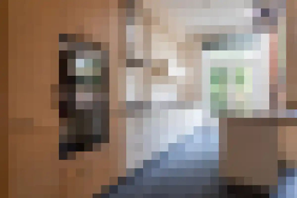 Abdijlaan 4 Uden thumbnail 5