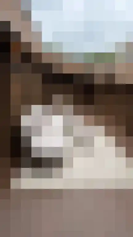 Abdijlaan 4 Uden thumbnail 5