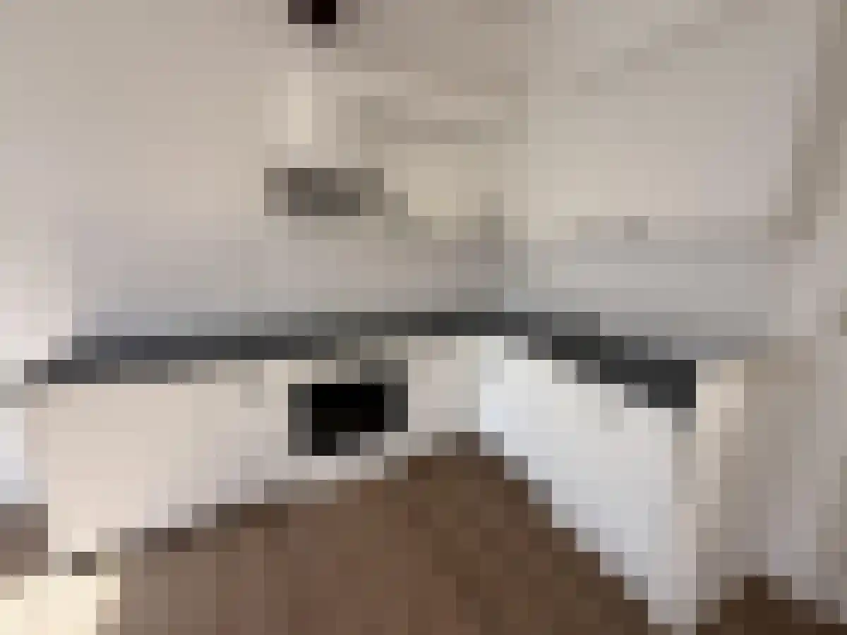 Abdijlaan 4 Uden thumbnail 6