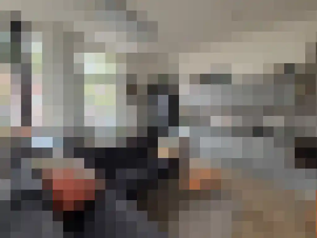 Abdijlaan 40 Uden thumbnail 4