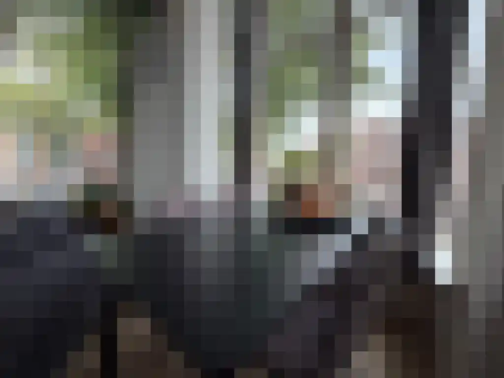 Abdijlaan 40 Uden thumbnail 5