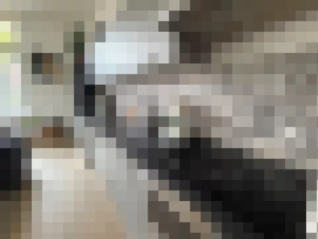 Abdijlaan 40 Uden thumbnail 6