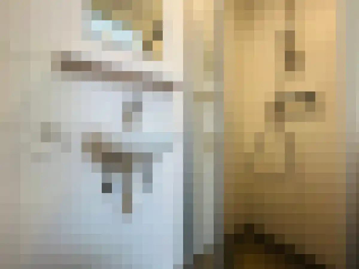 Abdijlaan 402 Uden thumbnail 6