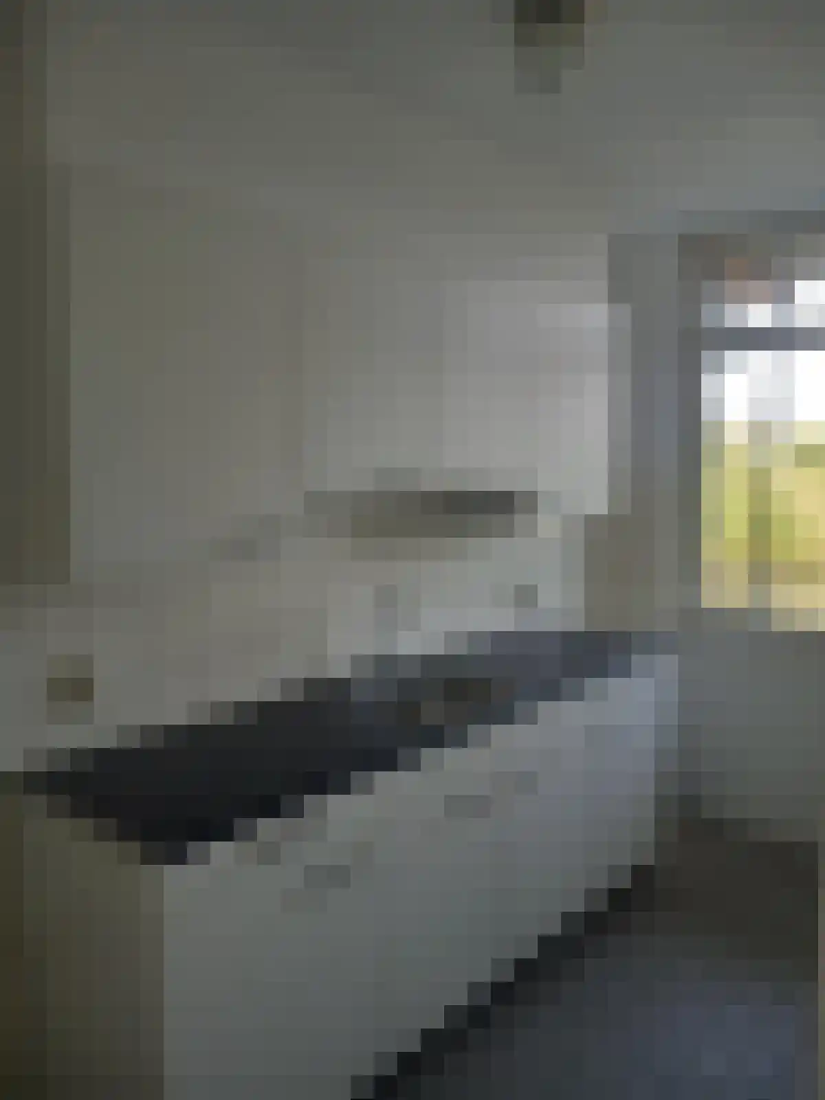 Abdijlaan 403 Uden foto 2