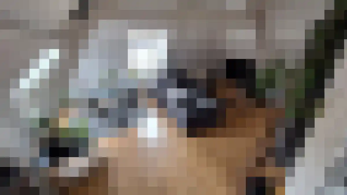 Abdijlaan 41 Uden thumbnail 4