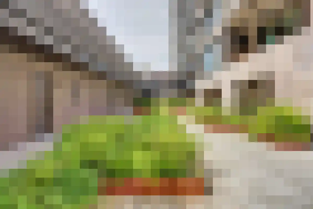 Abdijlaan 41 Uden thumbnail 5