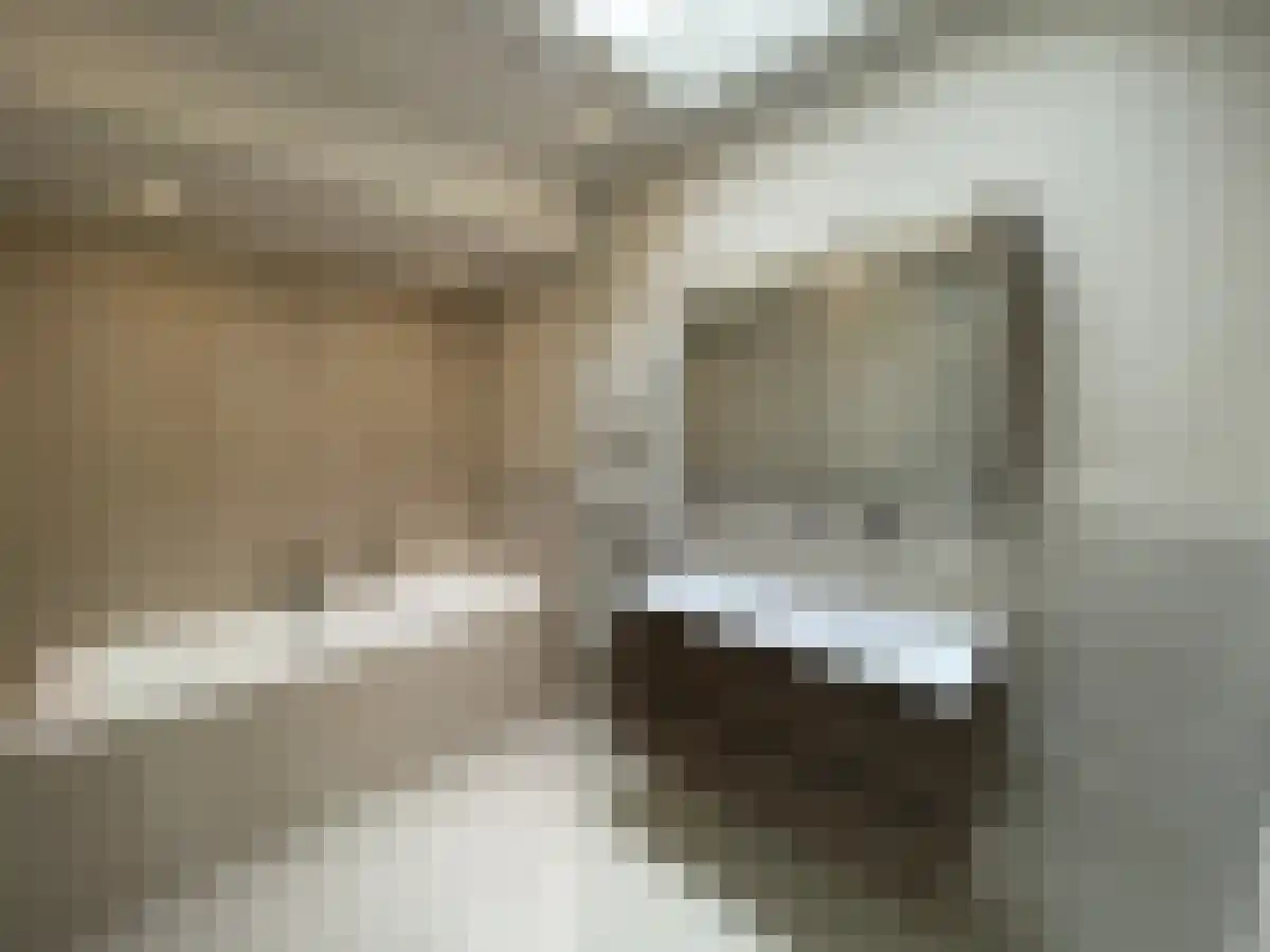 Abdijlaan 411 Uden foto 2