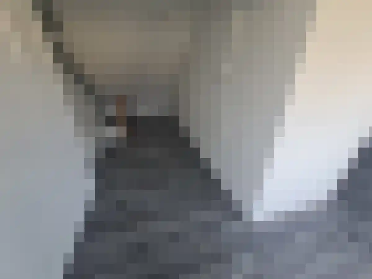 Abdijlaan 42 04 Uden foto 2