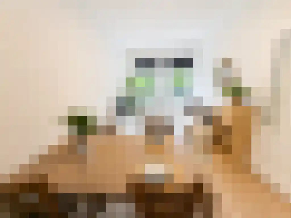 Abdijlaan 42 Uden foto 2