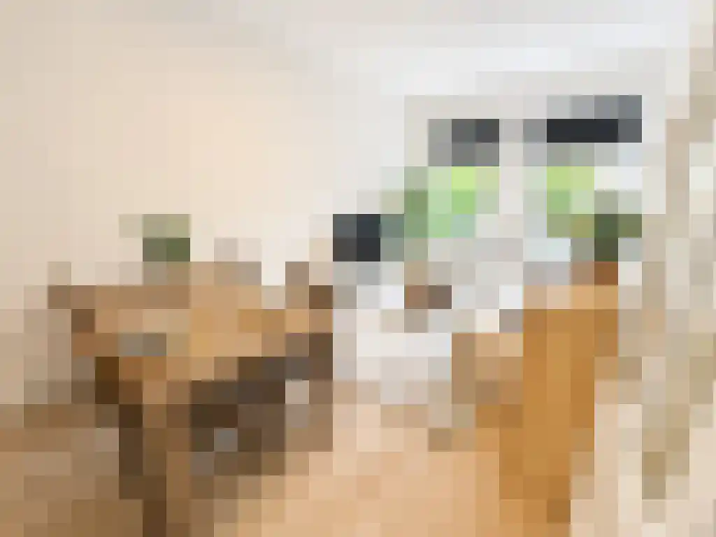 Abdijlaan 42 Uden thumbnail 4