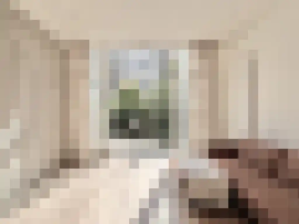 Abdijlaan 421 Uden foto 3