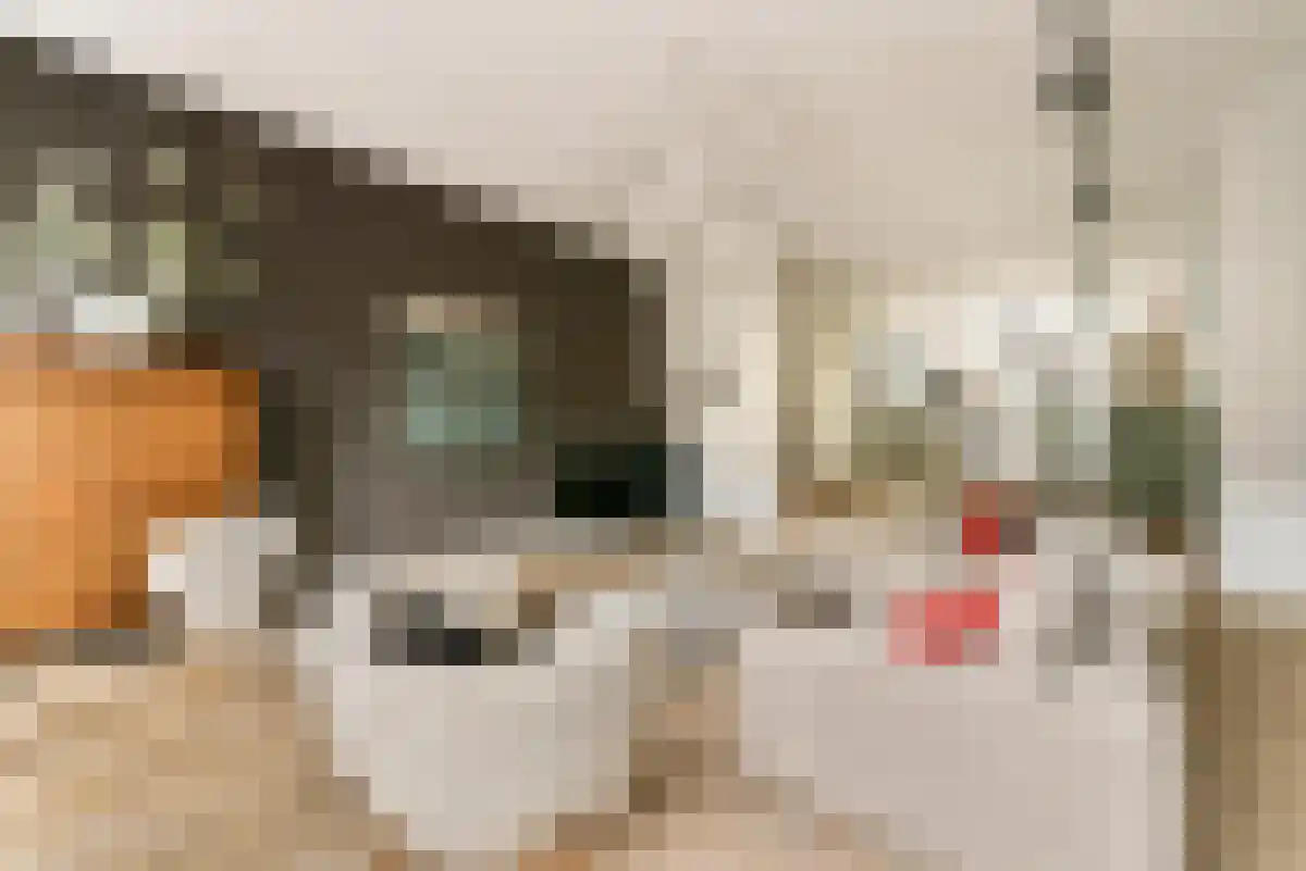 Abdijlaan 425 Uden thumbnail 4