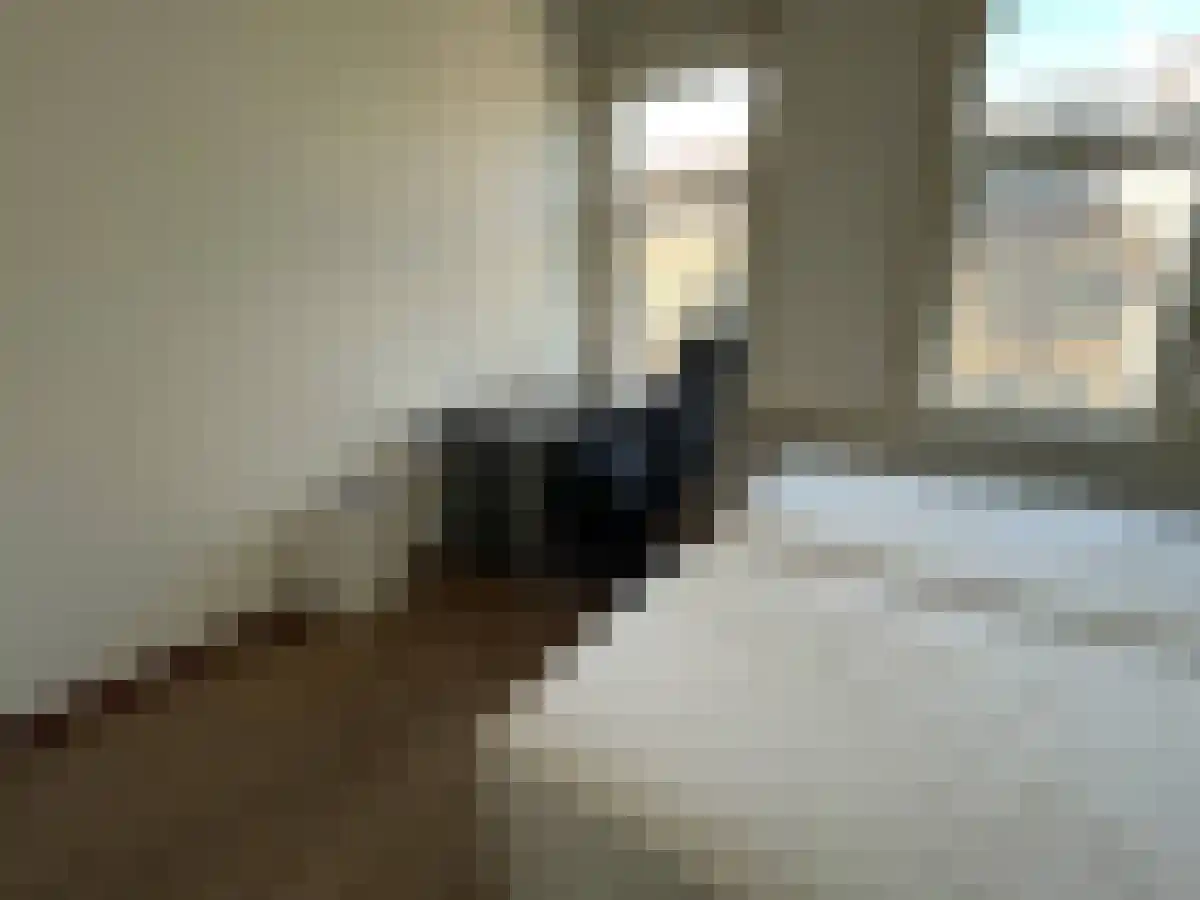 Abdijlaan 43 3 Uden thumbnail 6