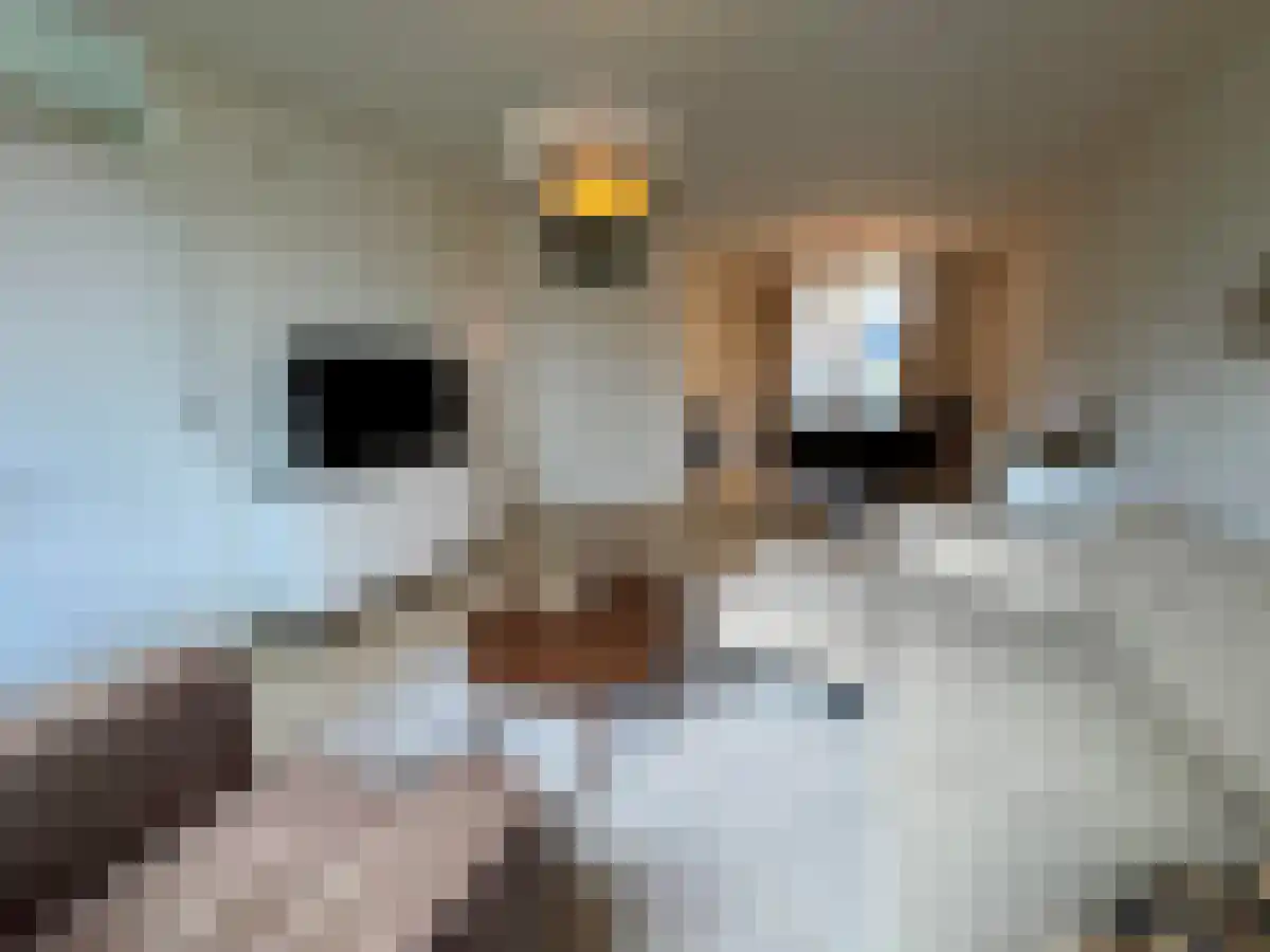 Abdijlaan 43 Uden thumbnail 4