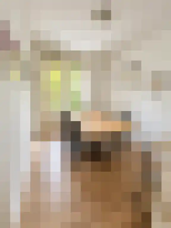 Abdijlaan 44 H Uden thumbnail 6