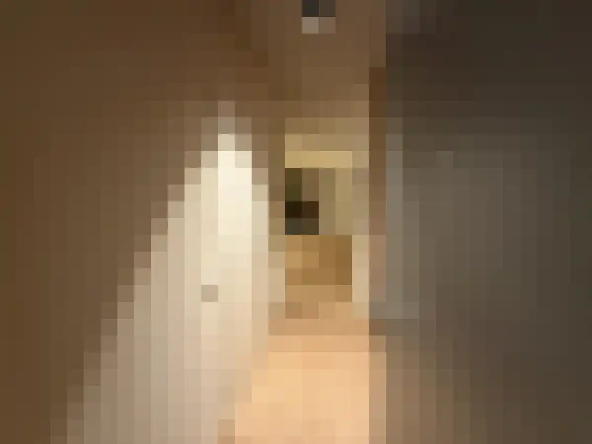 Abdijlaan 44 Uden foto 3