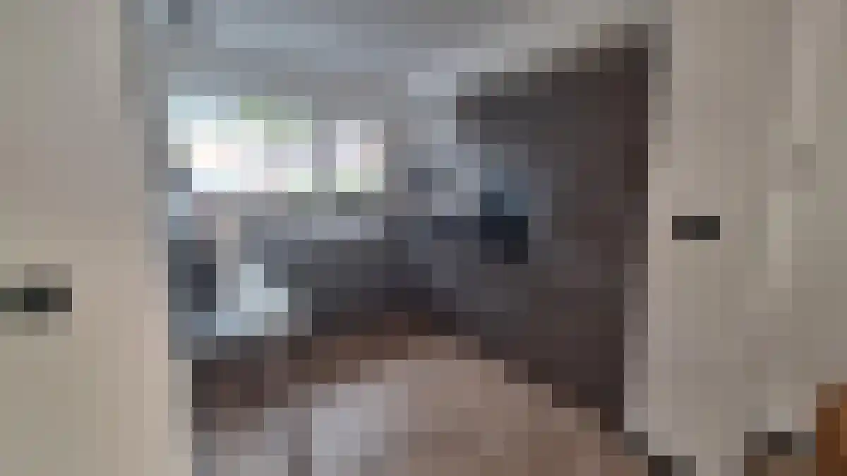Abdijlaan 44 Uden thumbnail 4
