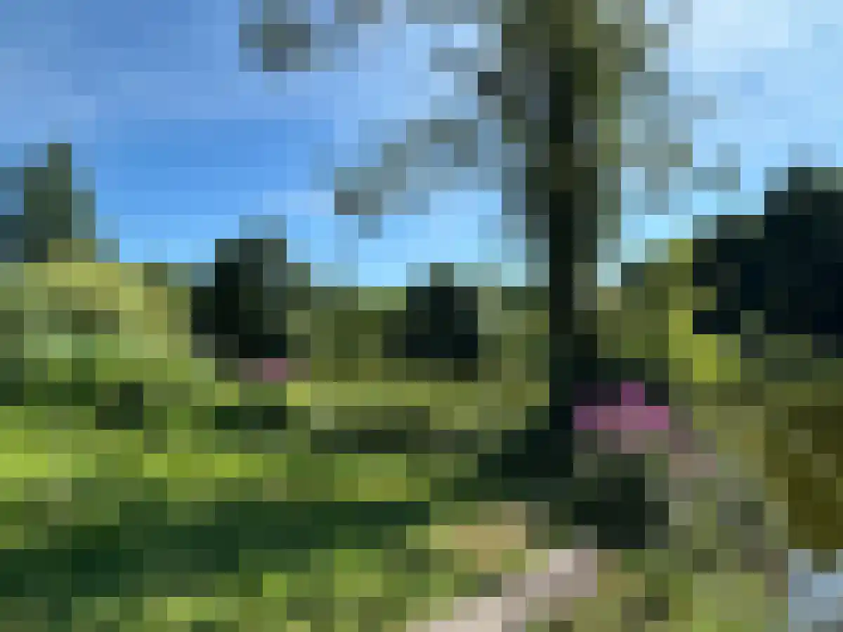 Abdijlaan 44 Uden thumbnail 4